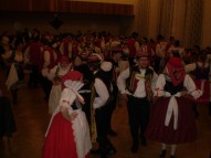 krojovaný ples Dambořice